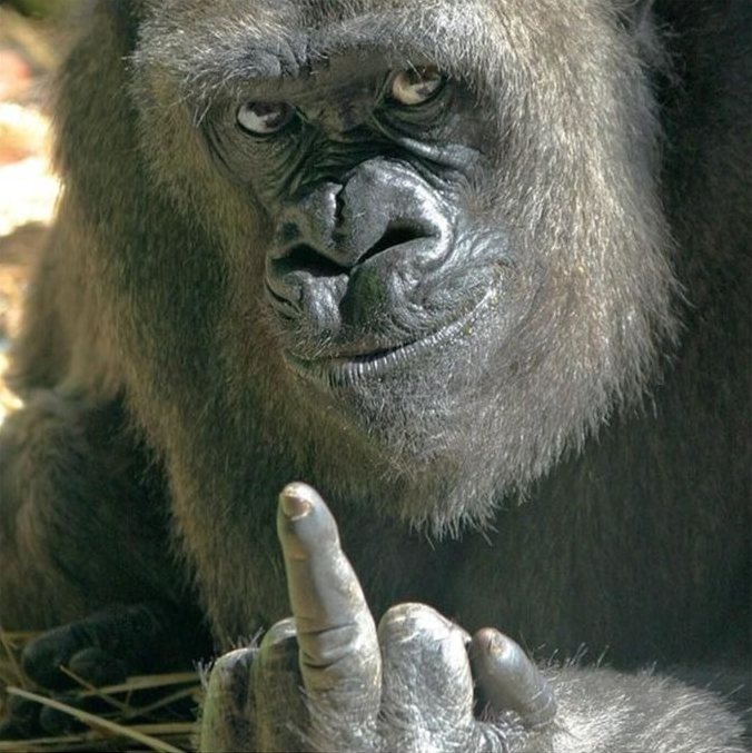 Mon image humoristique